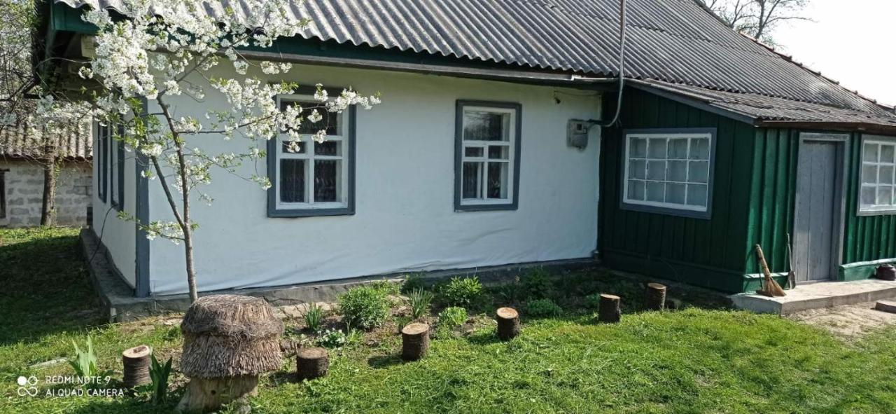 Медова Садиба Subbotiv Exteriér fotografie