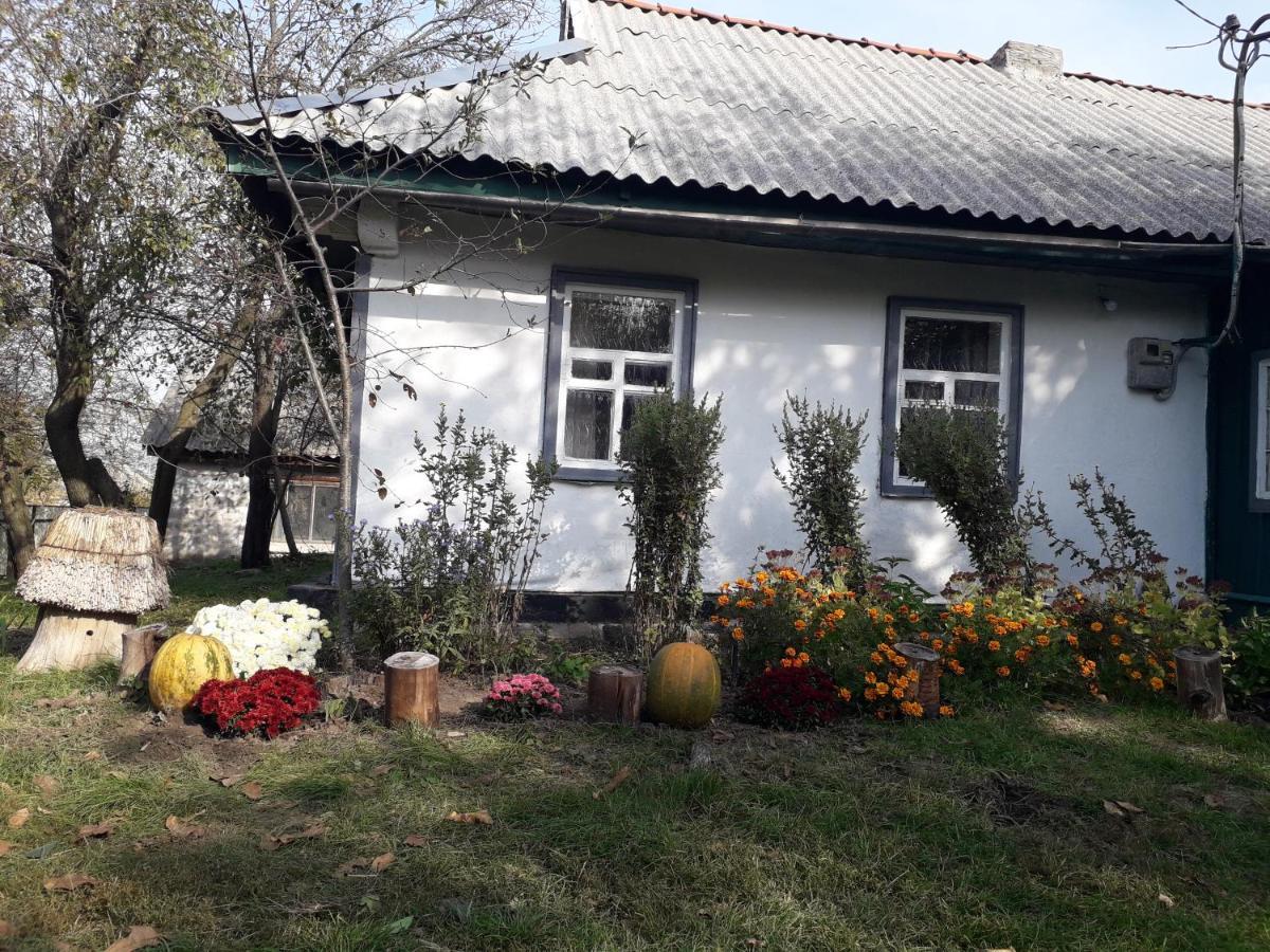 Медова Садиба Subbotiv Exteriér fotografie
